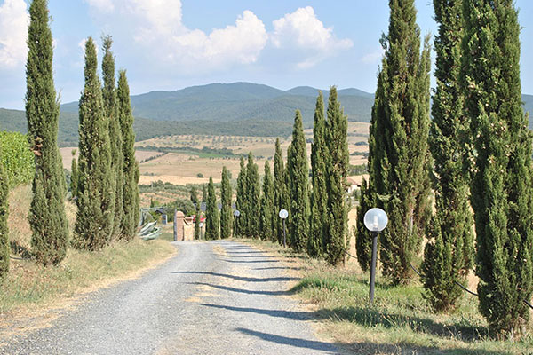 Farmhouse Il Poggio - Casale Marittimo - Pisa - Tuscany