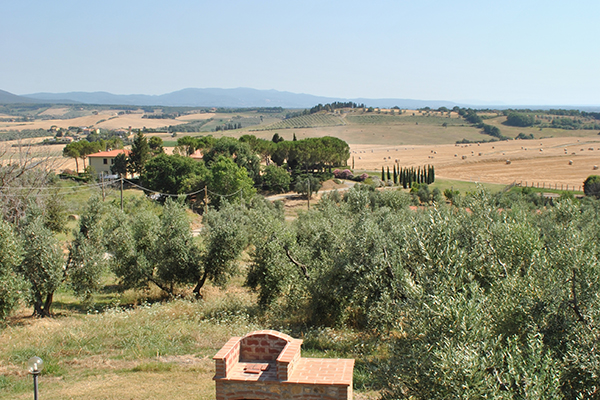 Casa in Pietra Mandorlo - Il Poggio Agriturismo - Casale Marittimo - Pisa - Toscana