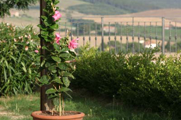 Il Poggio Agriturismo - Casale Marittimo - Pisa - Toscana