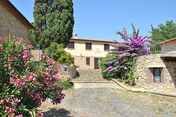 Il Poggio Agriturismo - Casale Marittimo - Pisa - Toscana