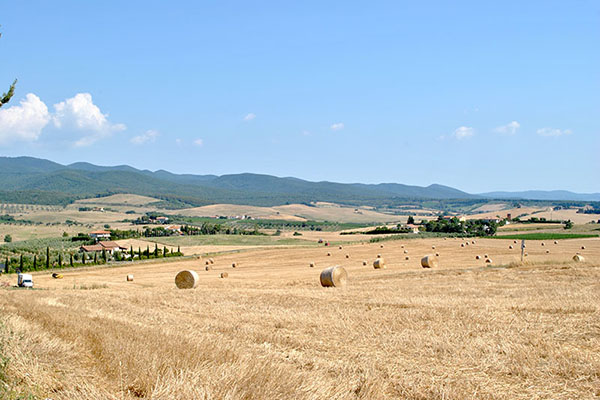 Il Poggio Agriturismo - Casale Marittimo - Pisa - Toscana