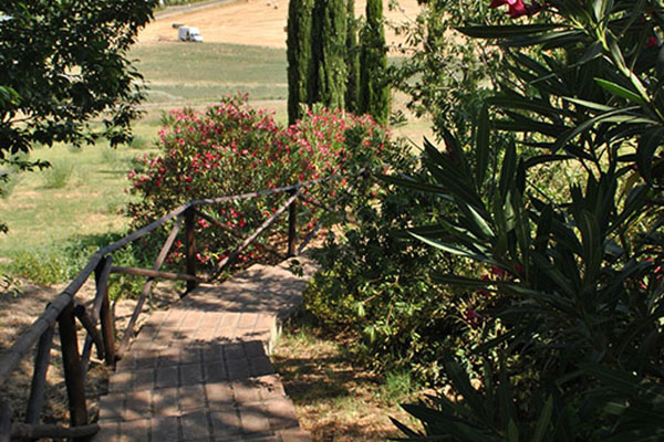 Il Poggio Agriturismo - Casale Marittimo - Pisa - Toscana