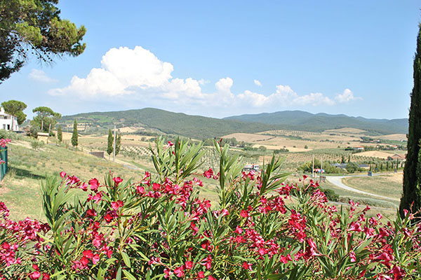 Il Poggio Agriturismo - Casale Marittimo - Pisa - Toscana