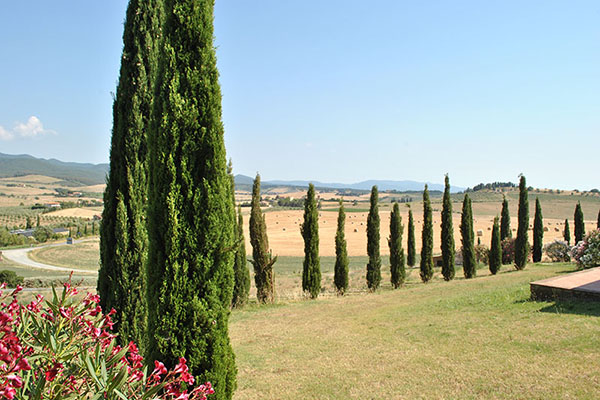 Il Poggio Agriturismo - Casale Marittimo - Pisa - Toscana