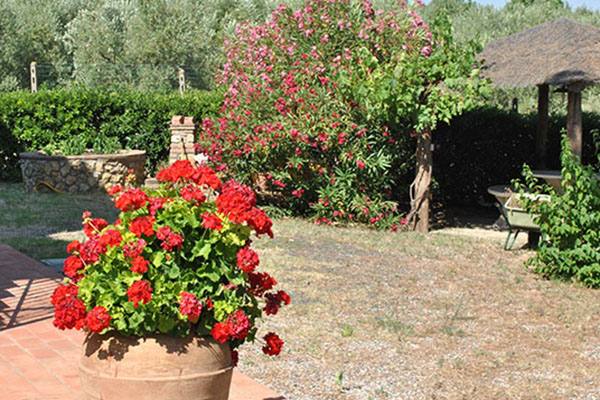 Il Poggio Agriturismo - Casale Marittimo - Pisa - Toscana
