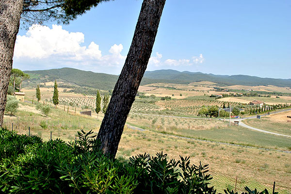 Il Poggio Agriturismo - Casale Marittimo - Pisa - Toscana