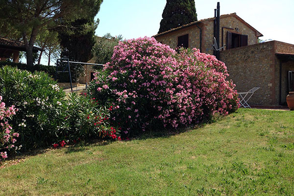 Il Poggio Agriturismo - Casale Marittimo - Pisa - Toscana