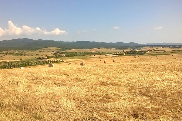 Il Poggio Agriturismo - Casale Marittimo - Pisa - Toscana
