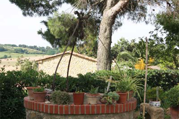 Il Poggio Agriturismo - Casale Marittimo - Pisa - Toscana